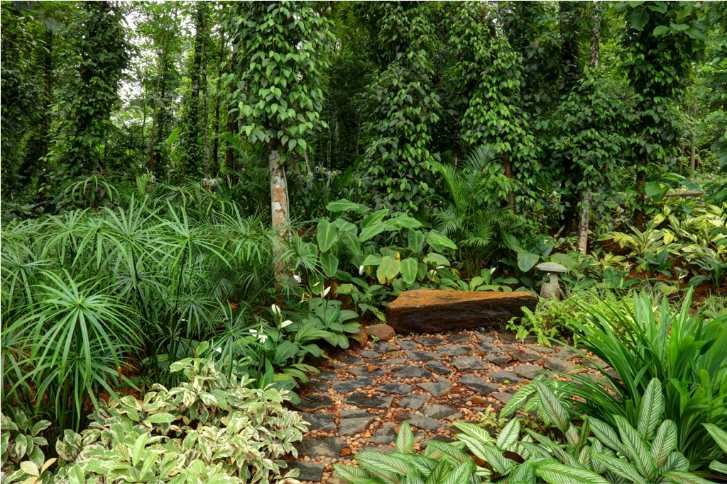 Hesychia Residence - Image 4