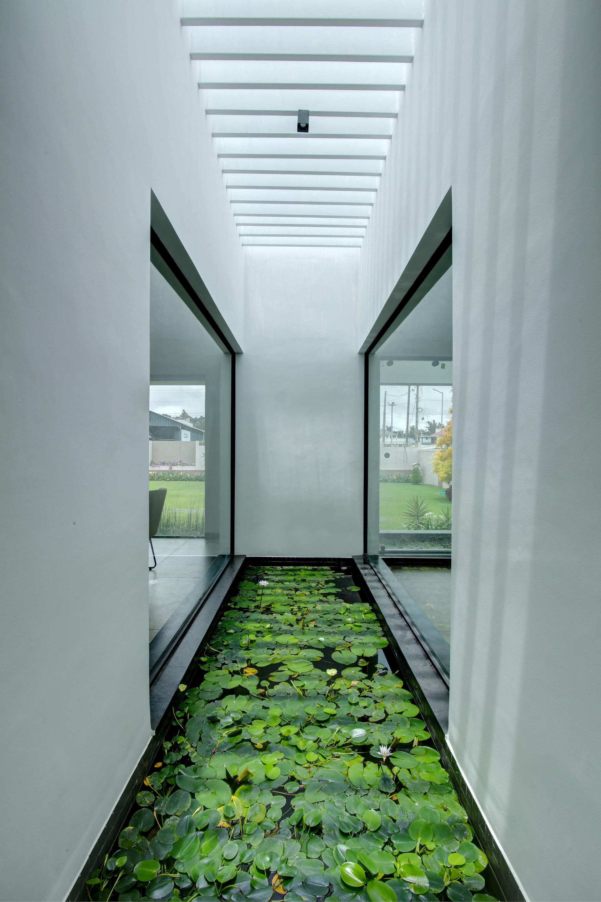 The Green Flavour - Image 3