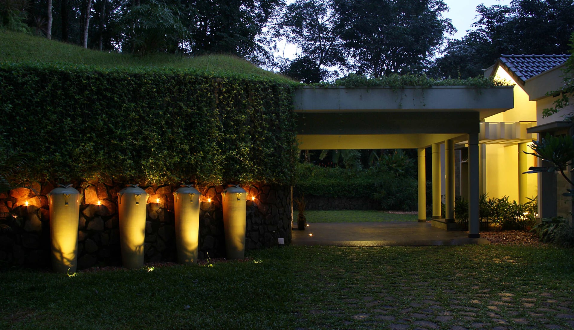 The Fern of the Hill - Image 2