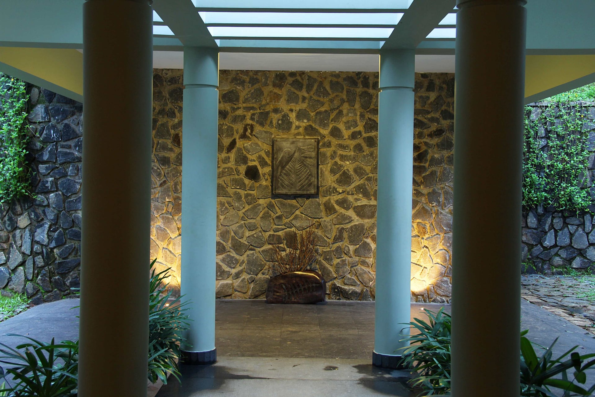 The Fern of the Hill - Image 3