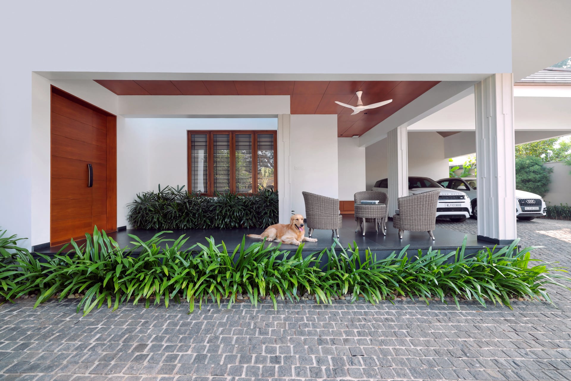 House of Strings - Image 4