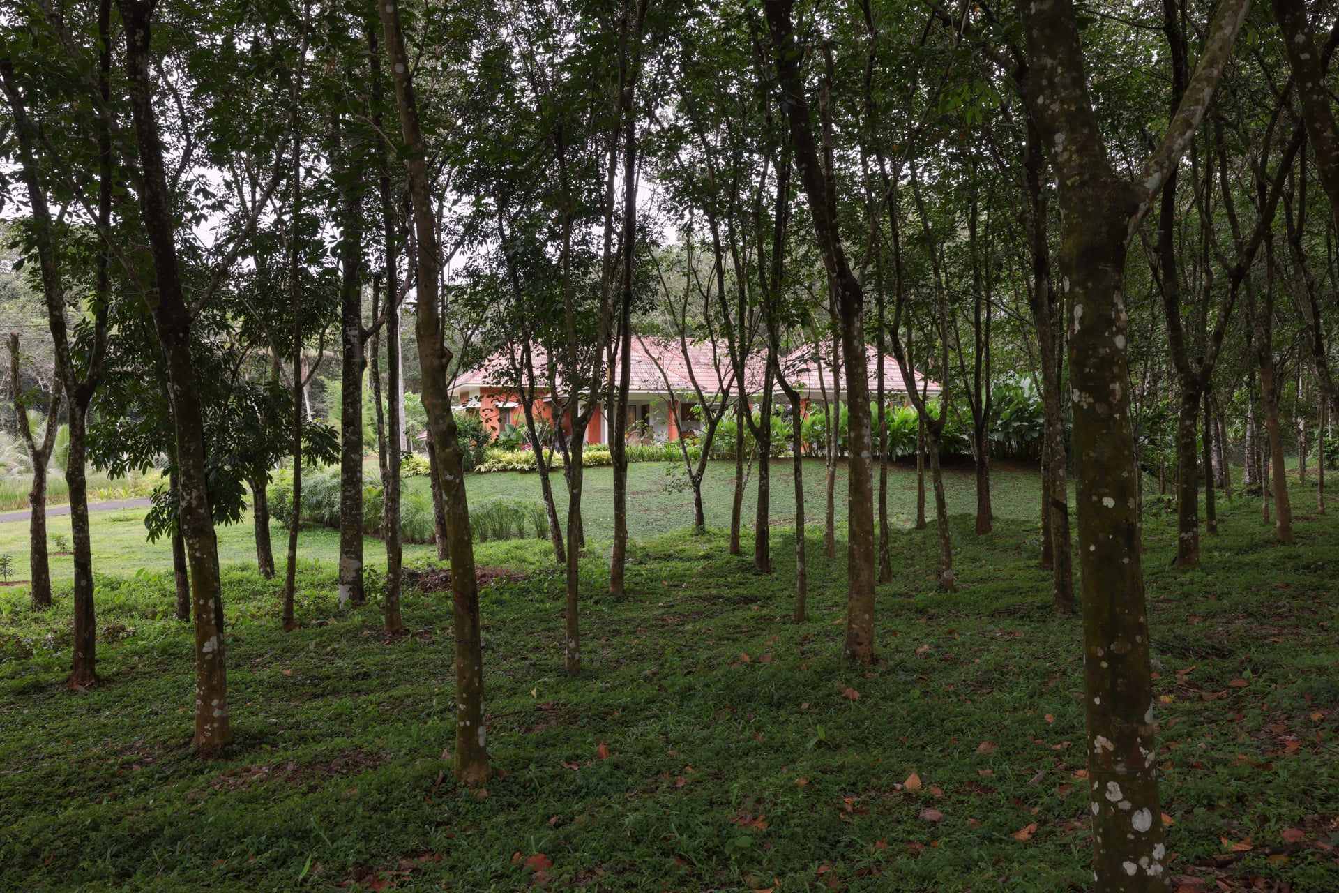 The Earthen Fold - Image 3