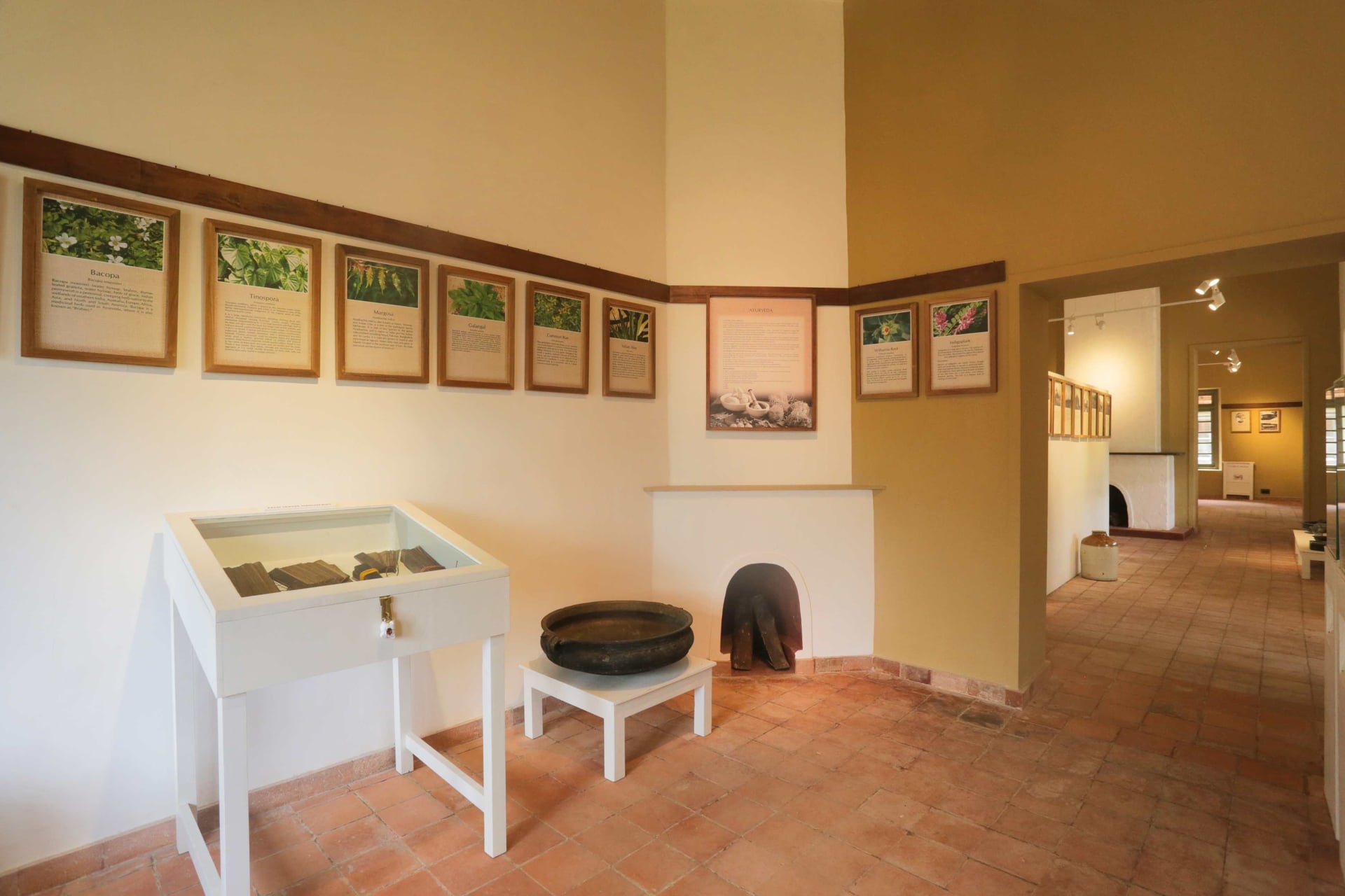 A Walk Into The Past - Image 1