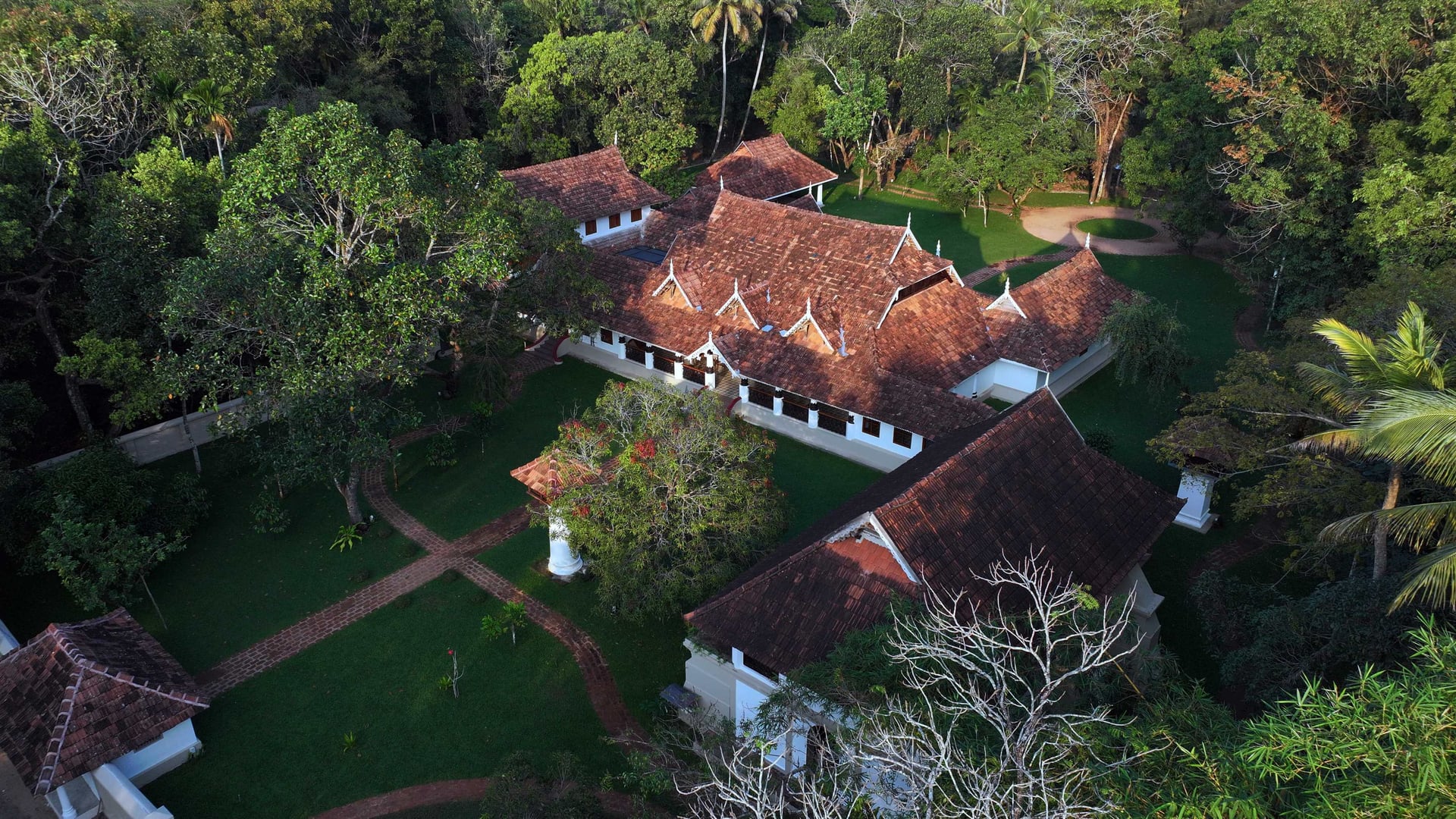 Reviving a Legacy - Image 1