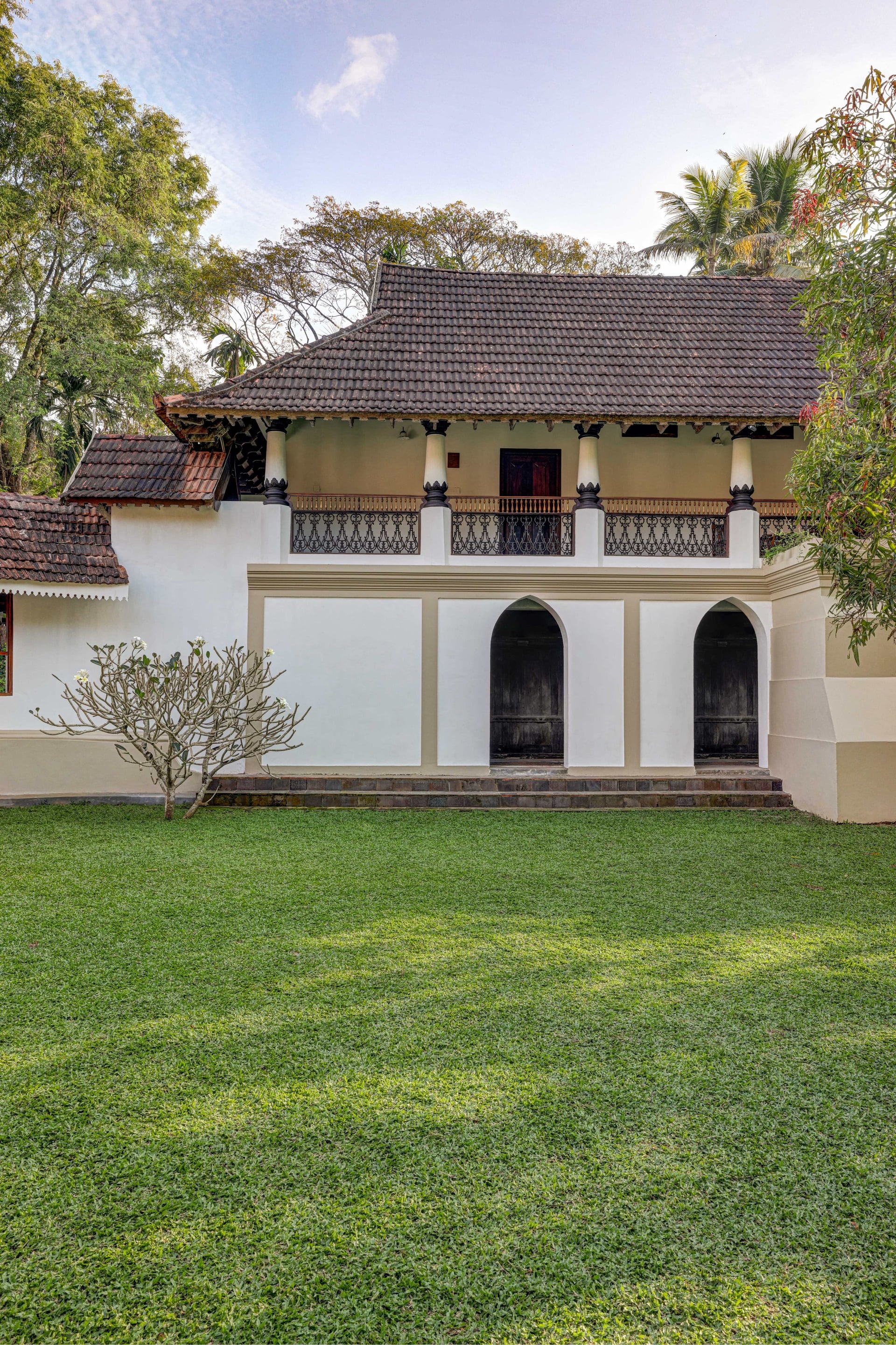 Reviving a Legacy - Image 7